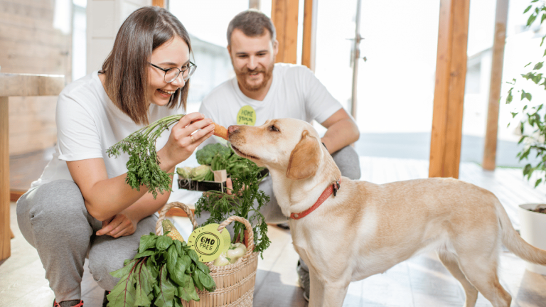 Papildai ir vitaminai šunims – būtini